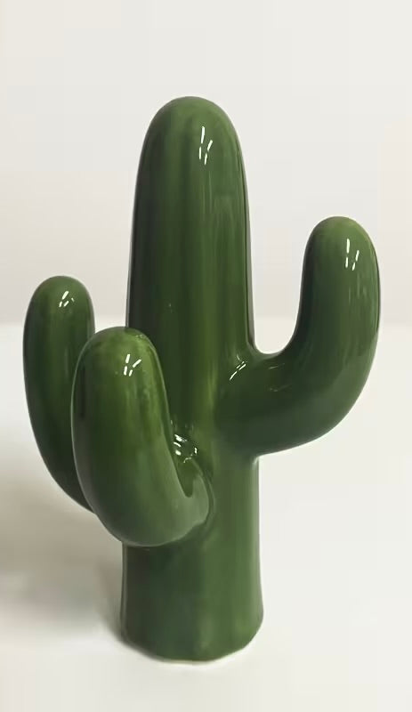 Cactus Ring Holder