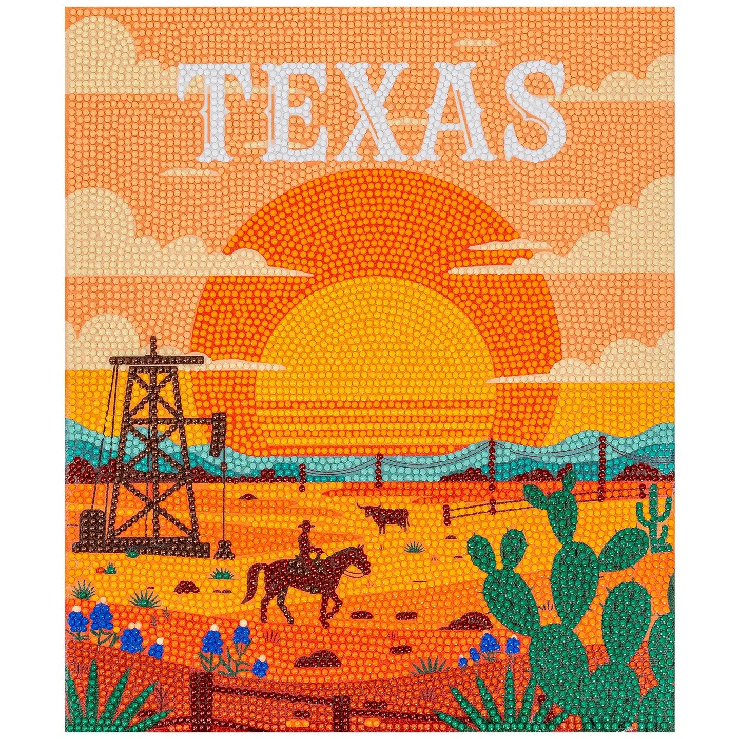 Texas Diamond Art