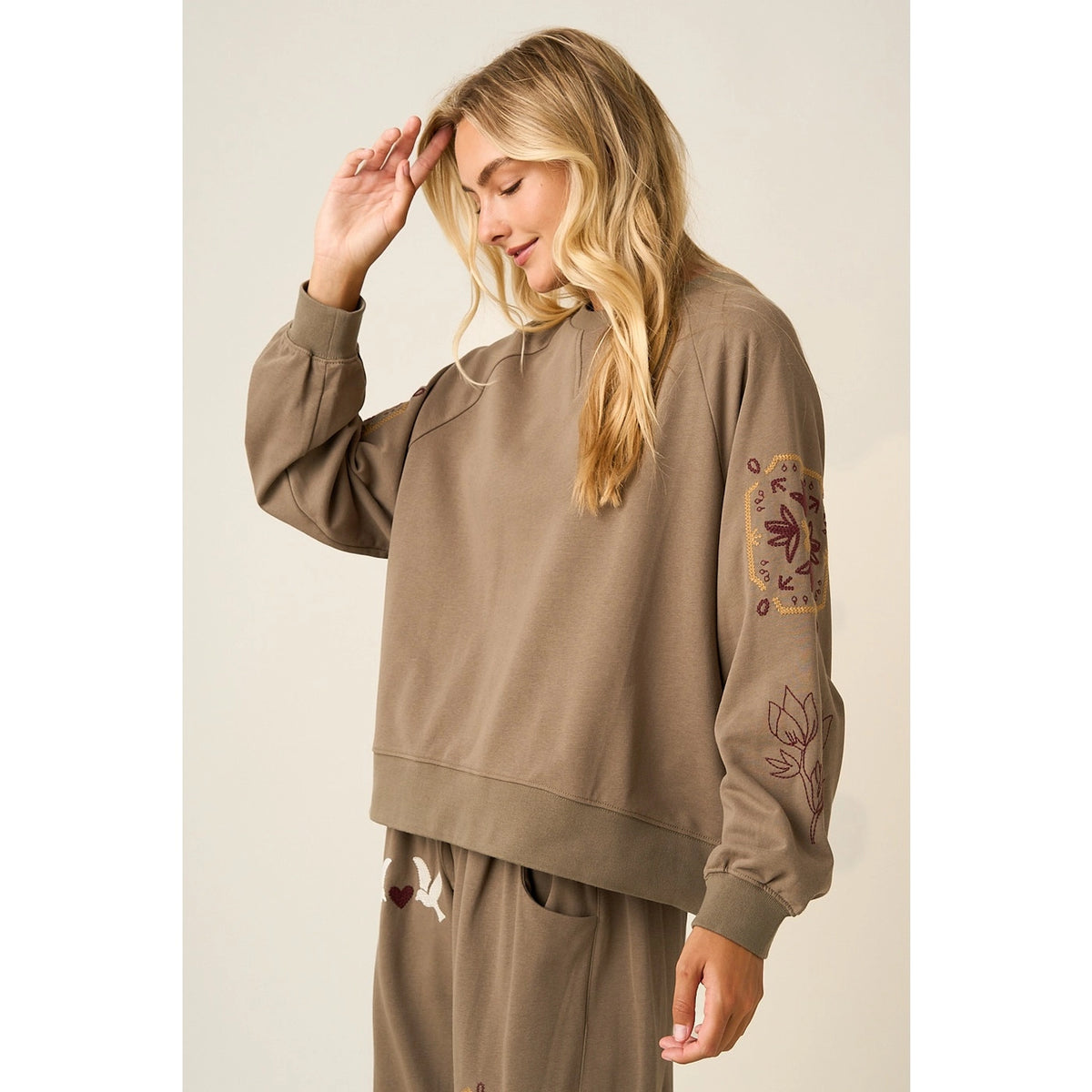 Embroidered Sleeve Raglan Sweatshirt Top