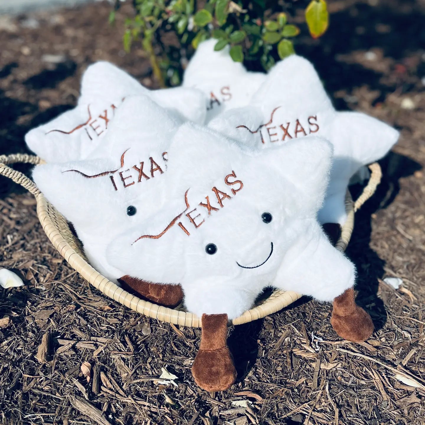 Texas Plush + Little Star of Texas