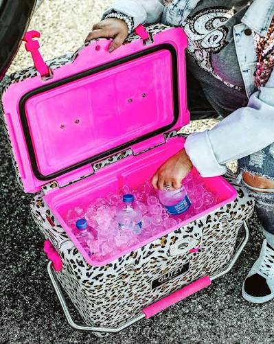 Cheetah and pink Cooler with Handle